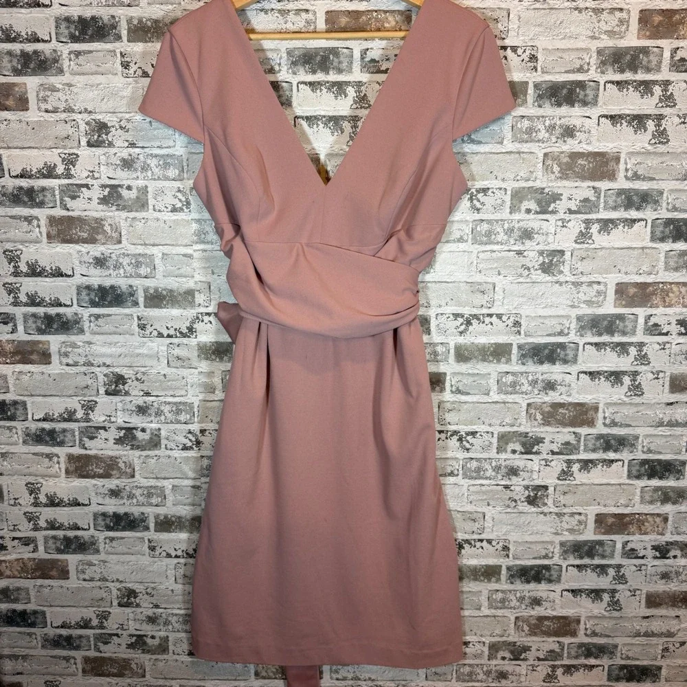 Dress the Population XL Dusty Rose V-Neck Cap Sleeve Back Tie Cocktail Dress NEW - Picture 2 of 4